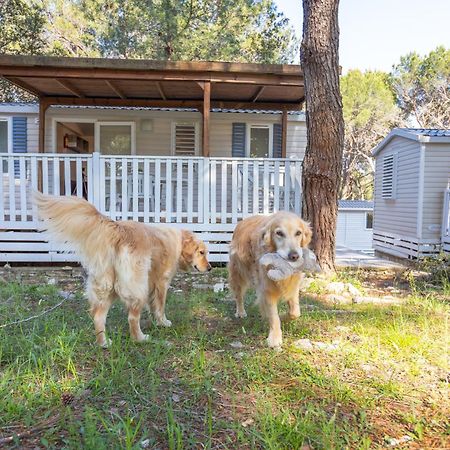 Mobile Homes Pine Sea Баньоле Екстер'єр фото